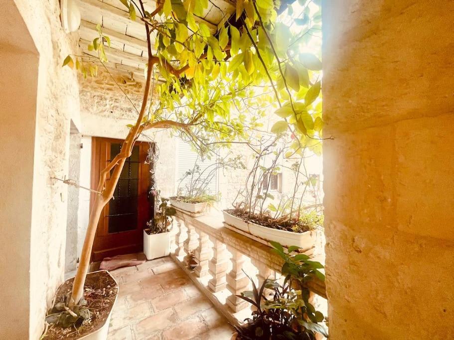 Evasion Urbaine**** Apartment